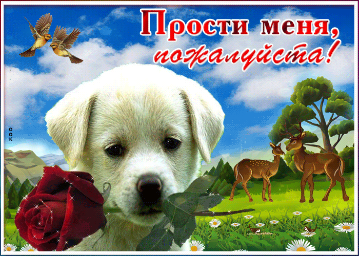 Прости меня пожалуйста
