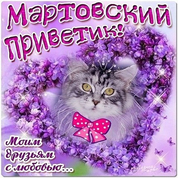 Картинки мартовский приветик скачать бесплатно и поделиться в вотсап