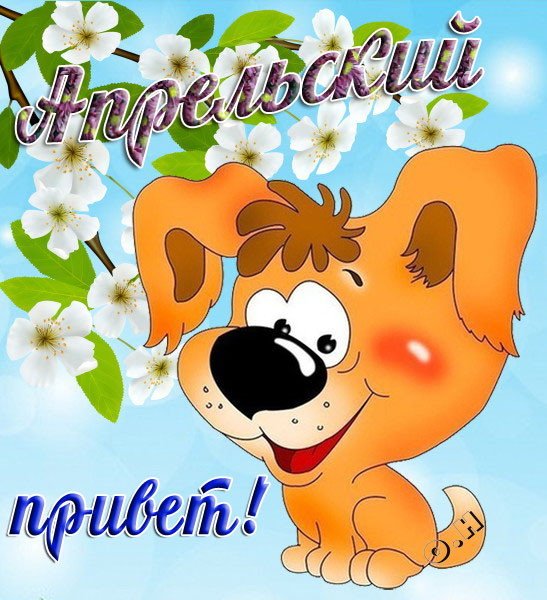 Красивая картинка апрельский приветик с поздравлением