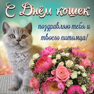 Открытки Открытка на день кошек.  Поздравляю ваших питомцев 