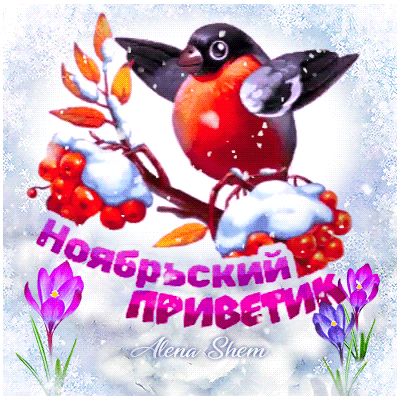Открытки Картинки ноябрьский приветик анимация со снегирём.  Лучшее открытки на зимнюю тему с приветами. 
