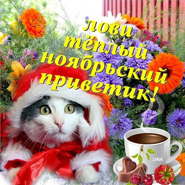 Открытки Картинки ноябрьский приветик Лучшее открытки на зимнюю тему с приветами. 