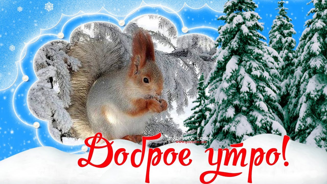  доброе зимнее утро