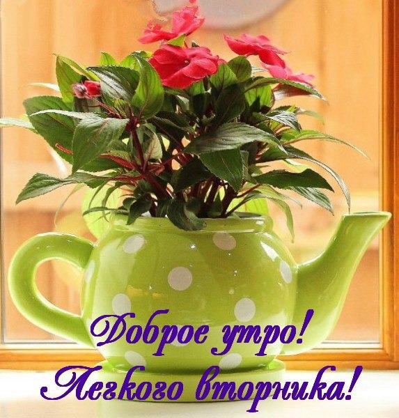 Открытка доброе  утро легкого вторника 
