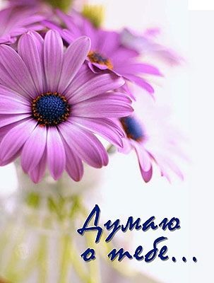 Думаю о тебе