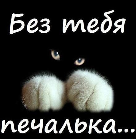 без тебя печалька