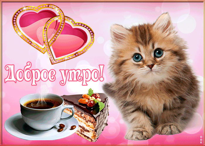 Открытки Анимация доброе утро с котенком сердечками для любимых и чашкой чая с тортом Картинка с добрым утром  чашкой кофе и шоколадным тортиком с орехами. 