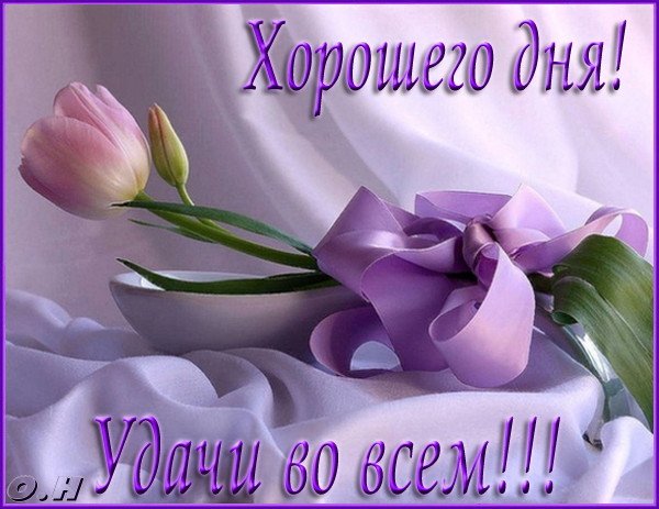 Открытки Открытки хорошего дня.  Красивые картинки с пожеланиями хорошего дня скачать бесплатно. 