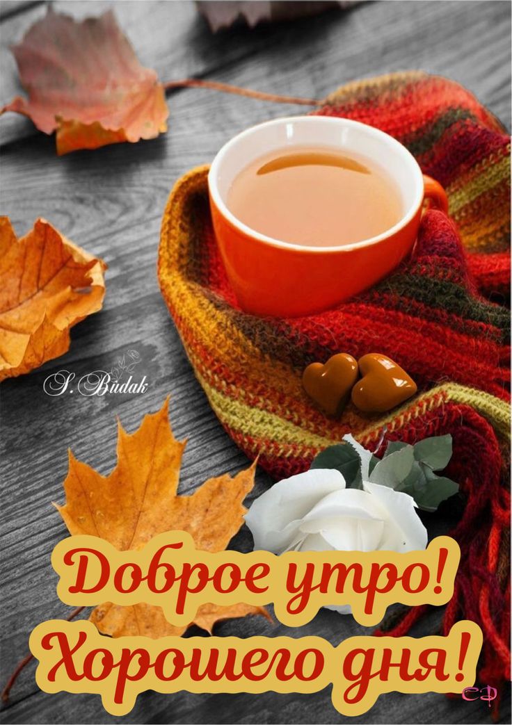 Открытки доброе осеннее утро и хорошего дня чай на столе с осенней листвой и шарфом 