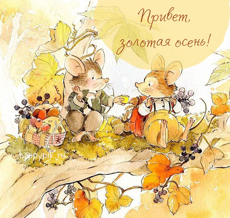 Привет золотая осень