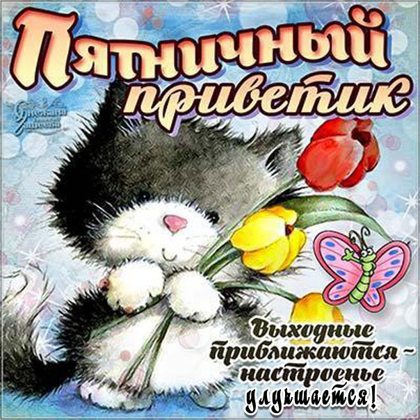 Пятничный приветик. Кот с цветами