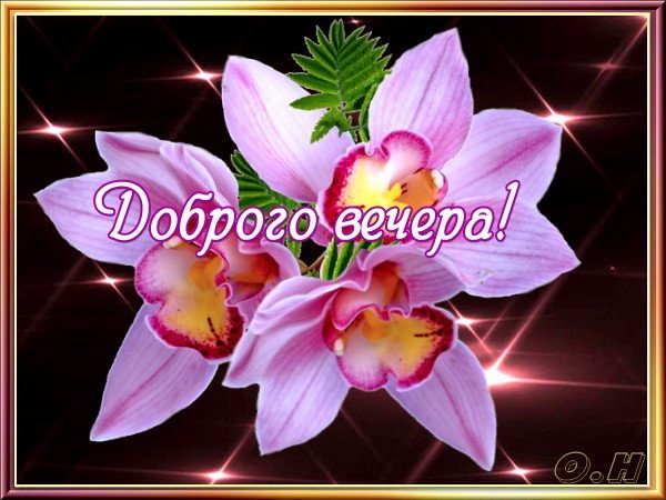 Хорошего вечера с поздравлениями