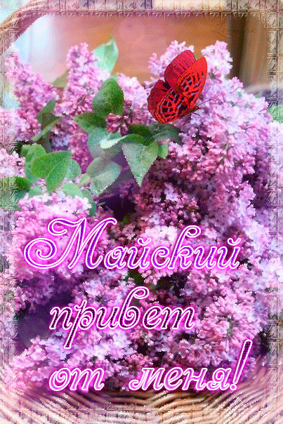 Майский  приветик с сиренью и бабочкой . 