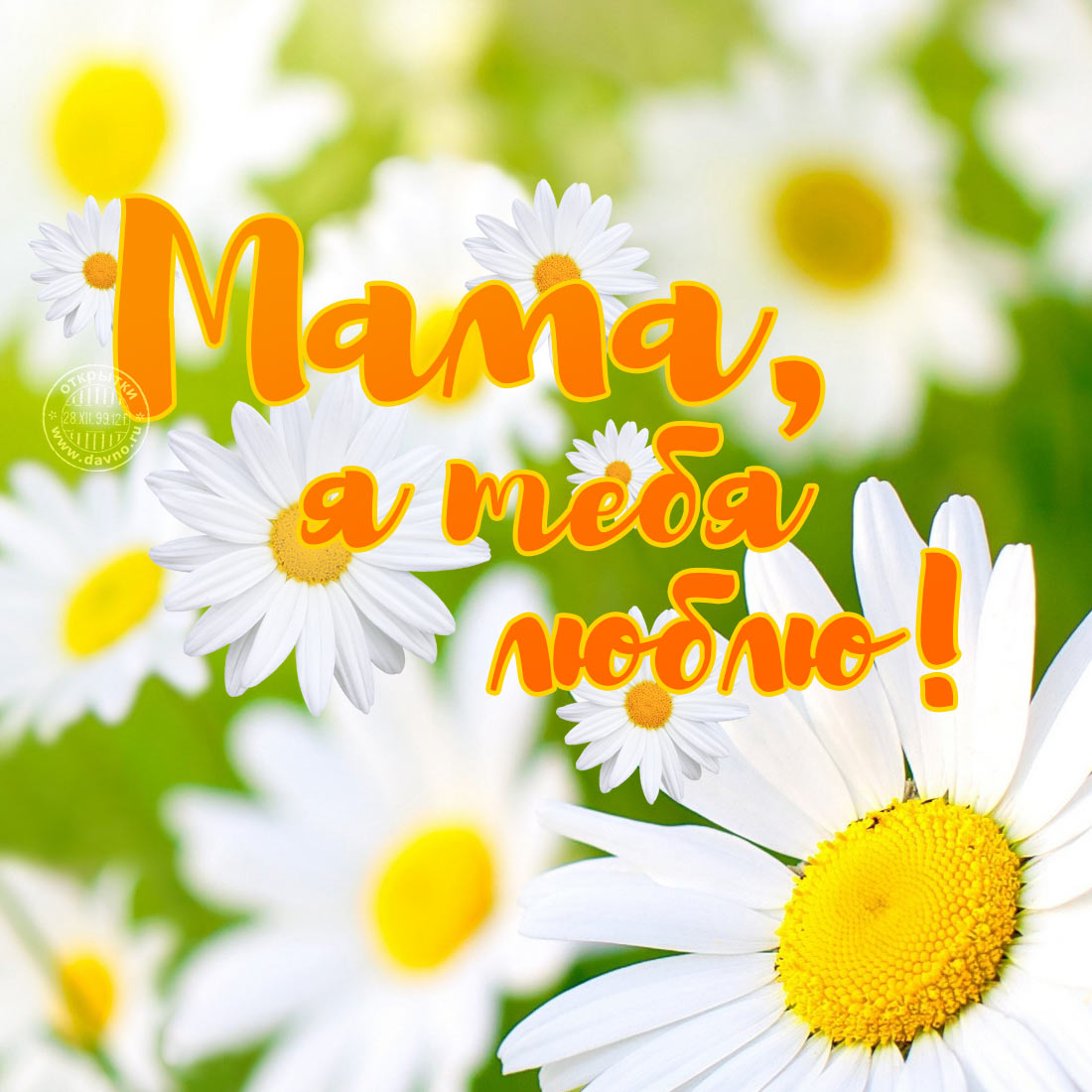 Мама я тебя люблю