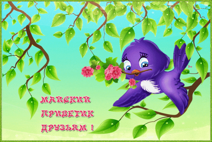 Майский  приветик с птичкой