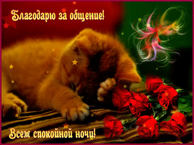 Открытка Всем спокойной ночи, благодарю за общение! Анимация с рыжим котом