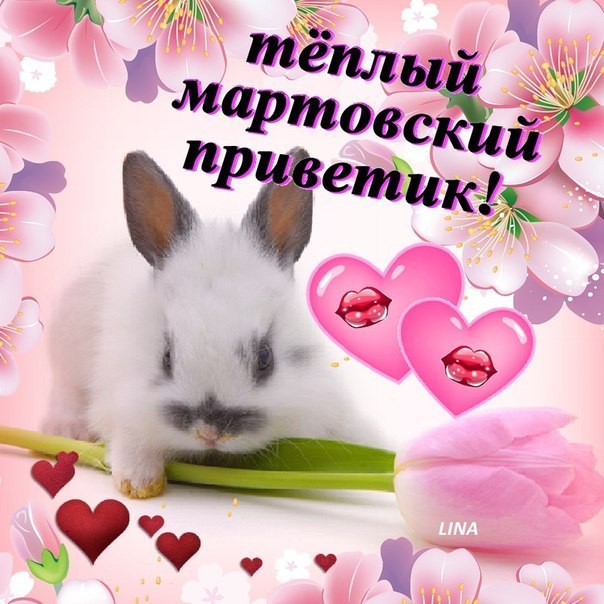 Картинки мартовский приветик скачать бесплатно и поделиться в вотсап