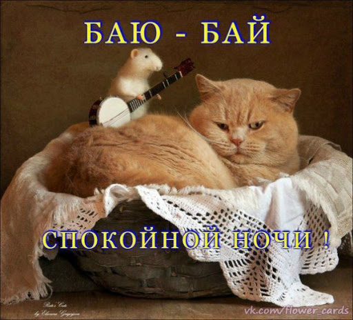 Открытки сладких снов с пожеланиями, котиками, сердечками для родных и близких