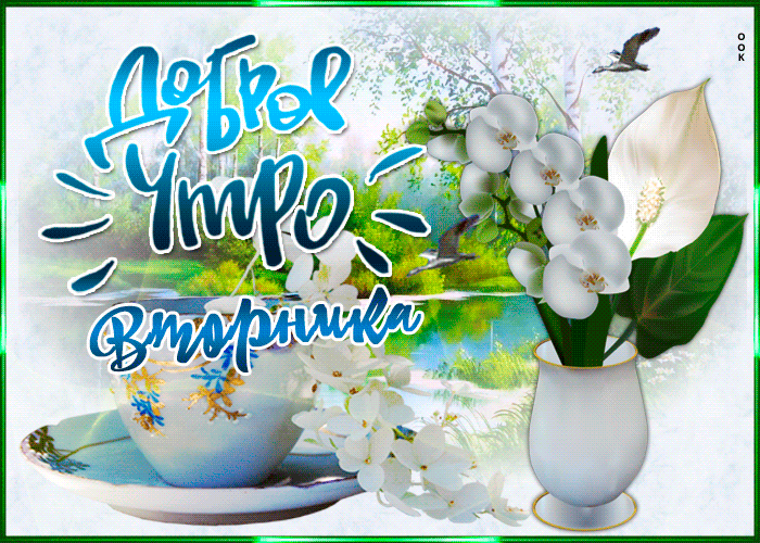 Открытка доброе утро вторник с архидеей