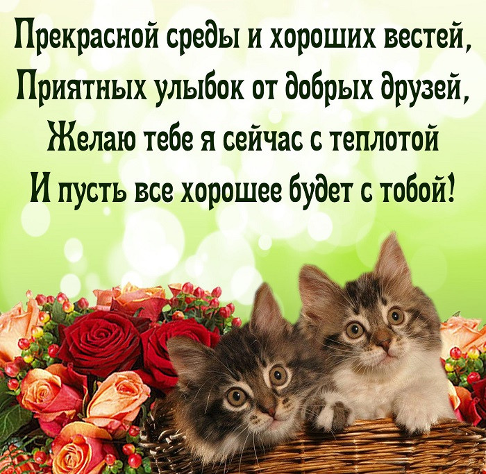 Прекрасной среды