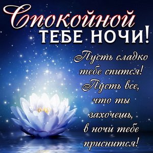 Открытки сладких снов с пожеланиями, котиками, сердечками для родных и близких