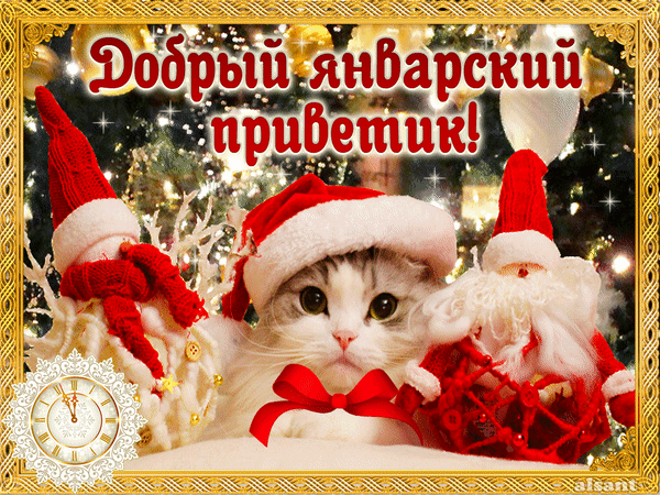 Январский приветик. Открытки зимний приветик с котами, снегом, снеговиком.