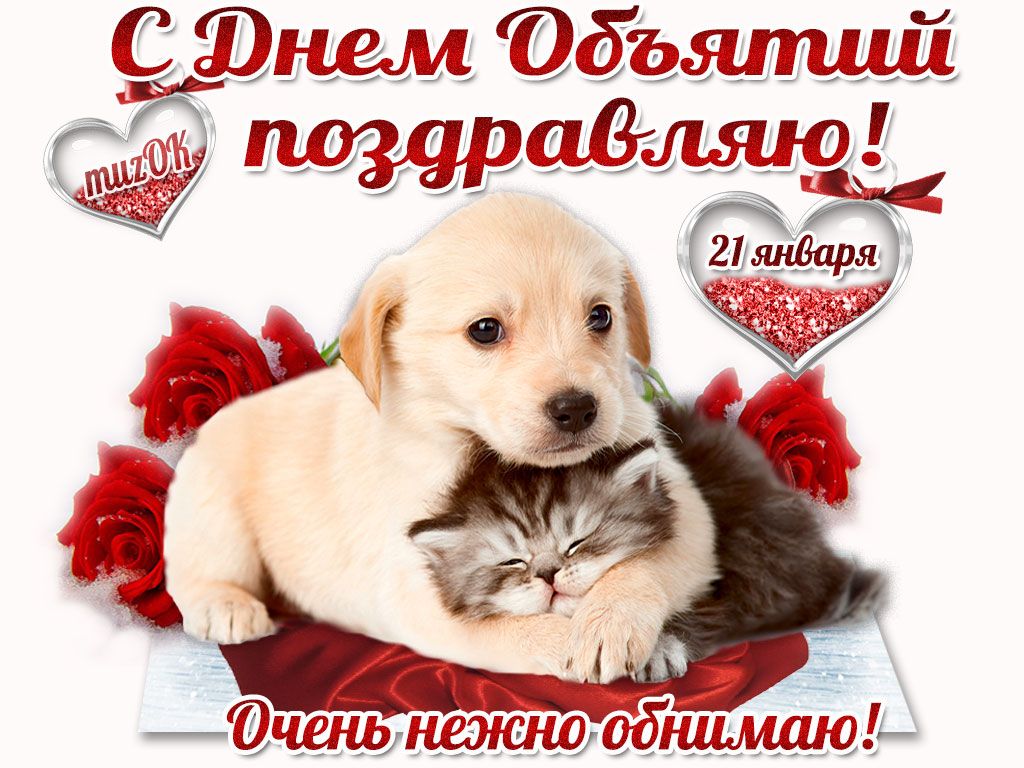 Открытки С днем объятий поздравляю. 21 января. Очень нежно обнимаю. Кот обнимает собаку. 