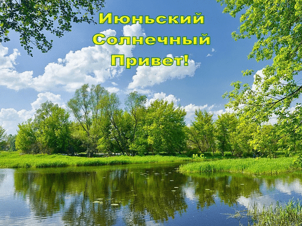 Июньский солнечный привет. Красивый пруд и роща. 