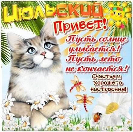 Июльский приветик. Картинки