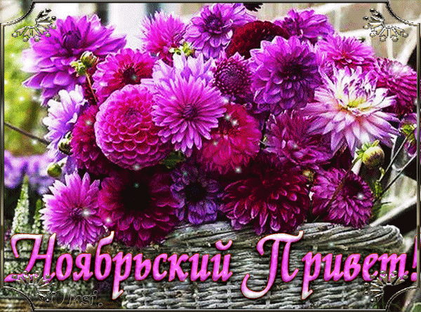 Картинки ноябрьский приветик анимация