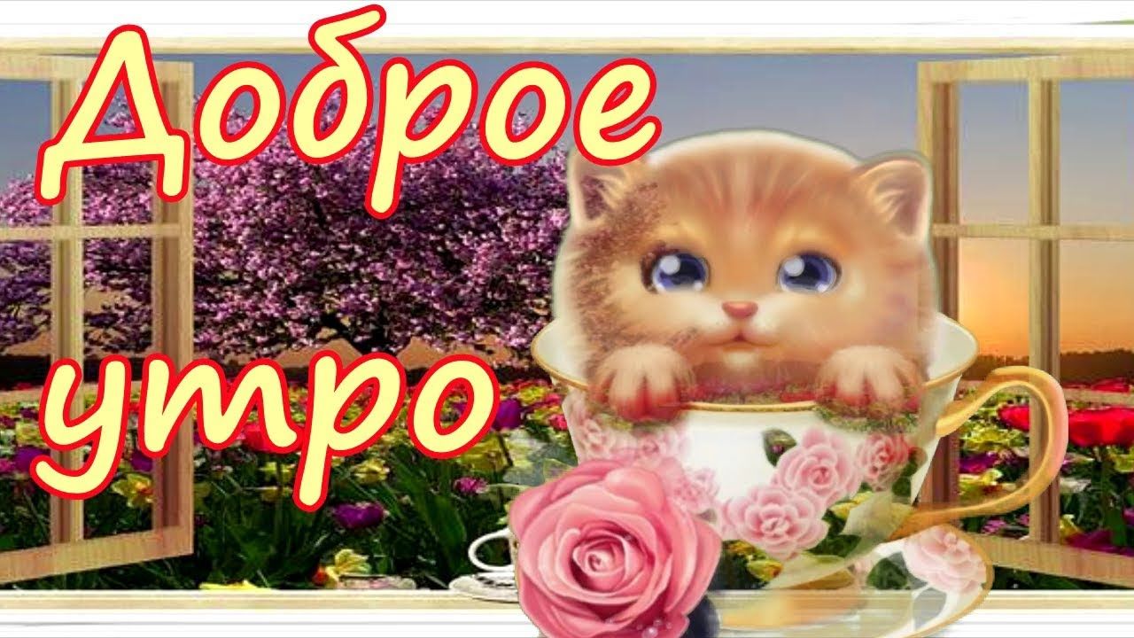 Доброе утречко