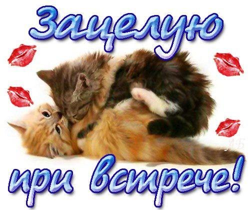 Зацелую при встрече