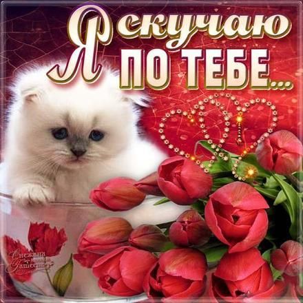 Открытки на тему я скучаю