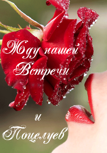 жду нашей встречи