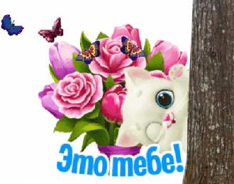 Улыбнись Открытки улыбнись анимация гифка с котом. 