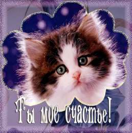 Ты мое счастье Ты мое счастье