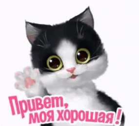 Привет Приветик