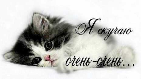 Я скучаю  я скучаю очень очень