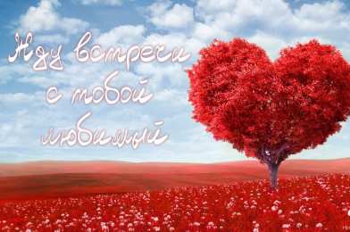 Жду встречи Открытка жду встречи