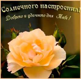 Удачного дня Картинки удачного дня. Пусть день будет очень приятным