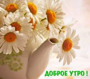 доброе летнее утро самого доброго летнего утра