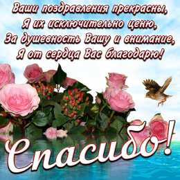 Спасибо Спасибо за поздравления