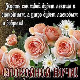 Спокойной ночи Спокойной ночи