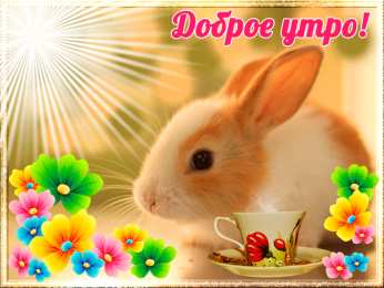 Доброе утро анимация Анимационная открытка доброе утро с милым зайцем и яркими цветами 