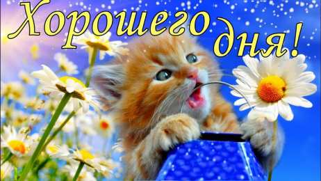 Удачного дня Картинки удачного дня. Пусть день будет очень приятным