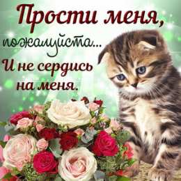 Прости Прости меня пожалуйста и не сердись на меня