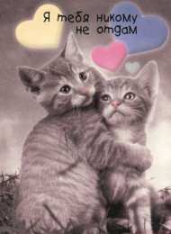 Обнимаю Обнимаю. Открытки