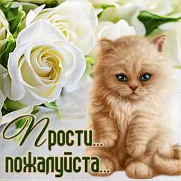 Прости Прости пожалуйста