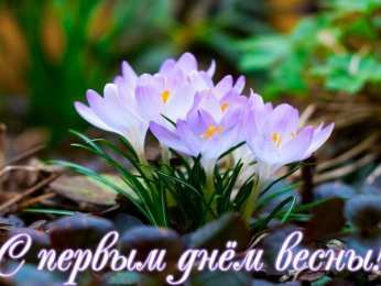 С первым днем весны С первым днем весны