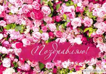 поздравляю Красивые открытки поздравляю скачать бесплатно на каждый день